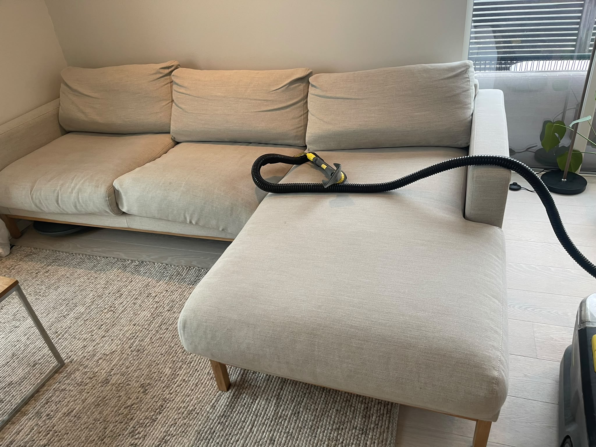 Sofa cleaning